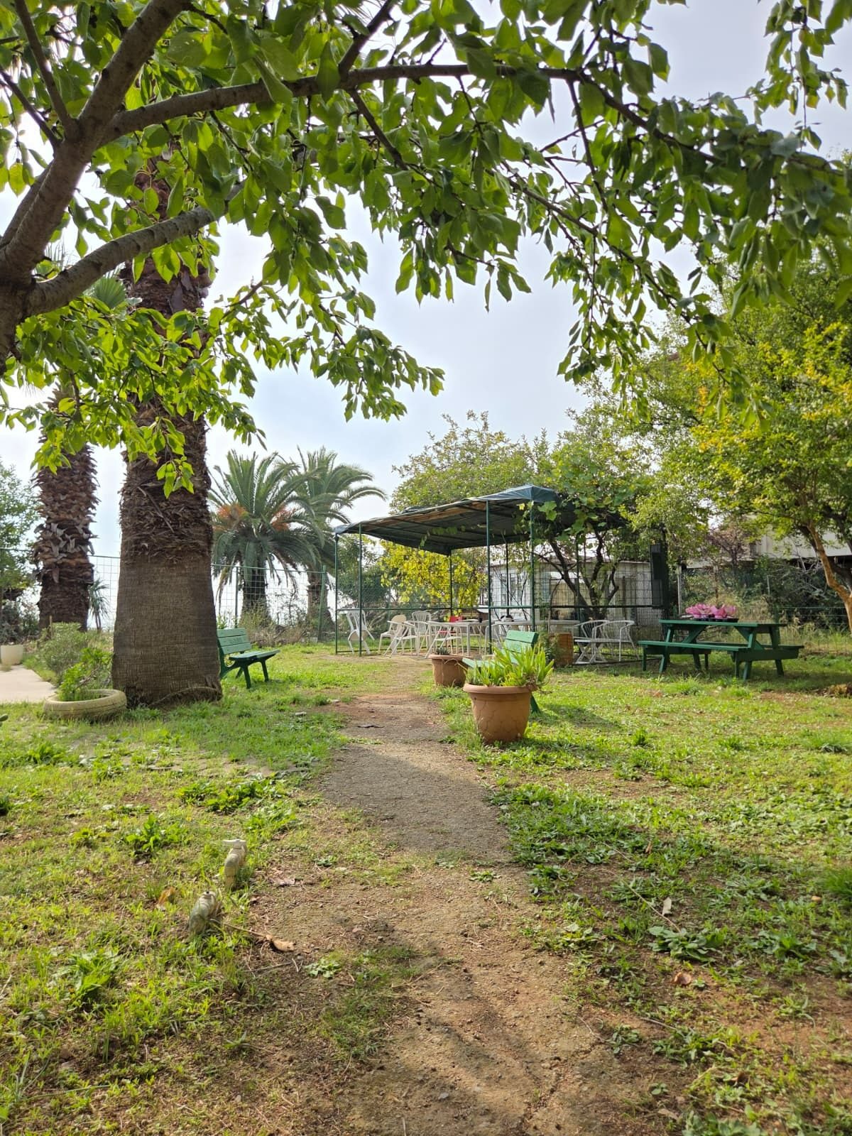 Bahçe ve teras
